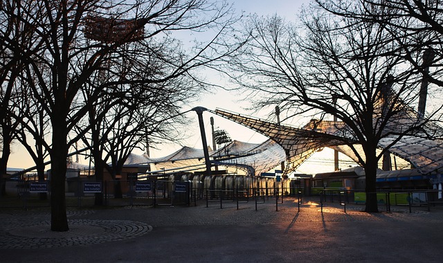 速的傳導球 速的傳導球