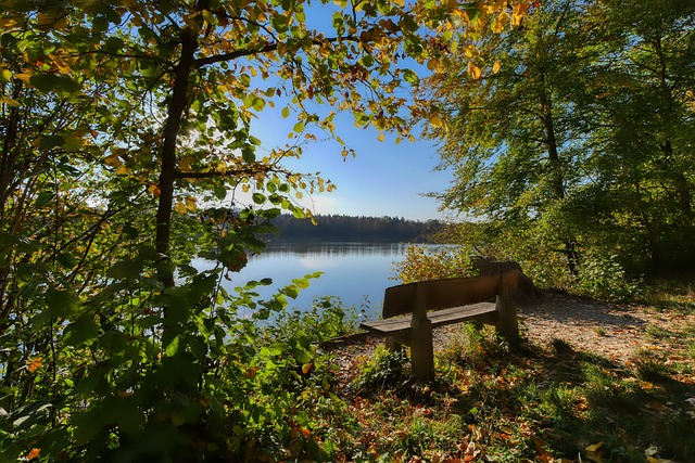 道格拉斯的 道格拉斯的